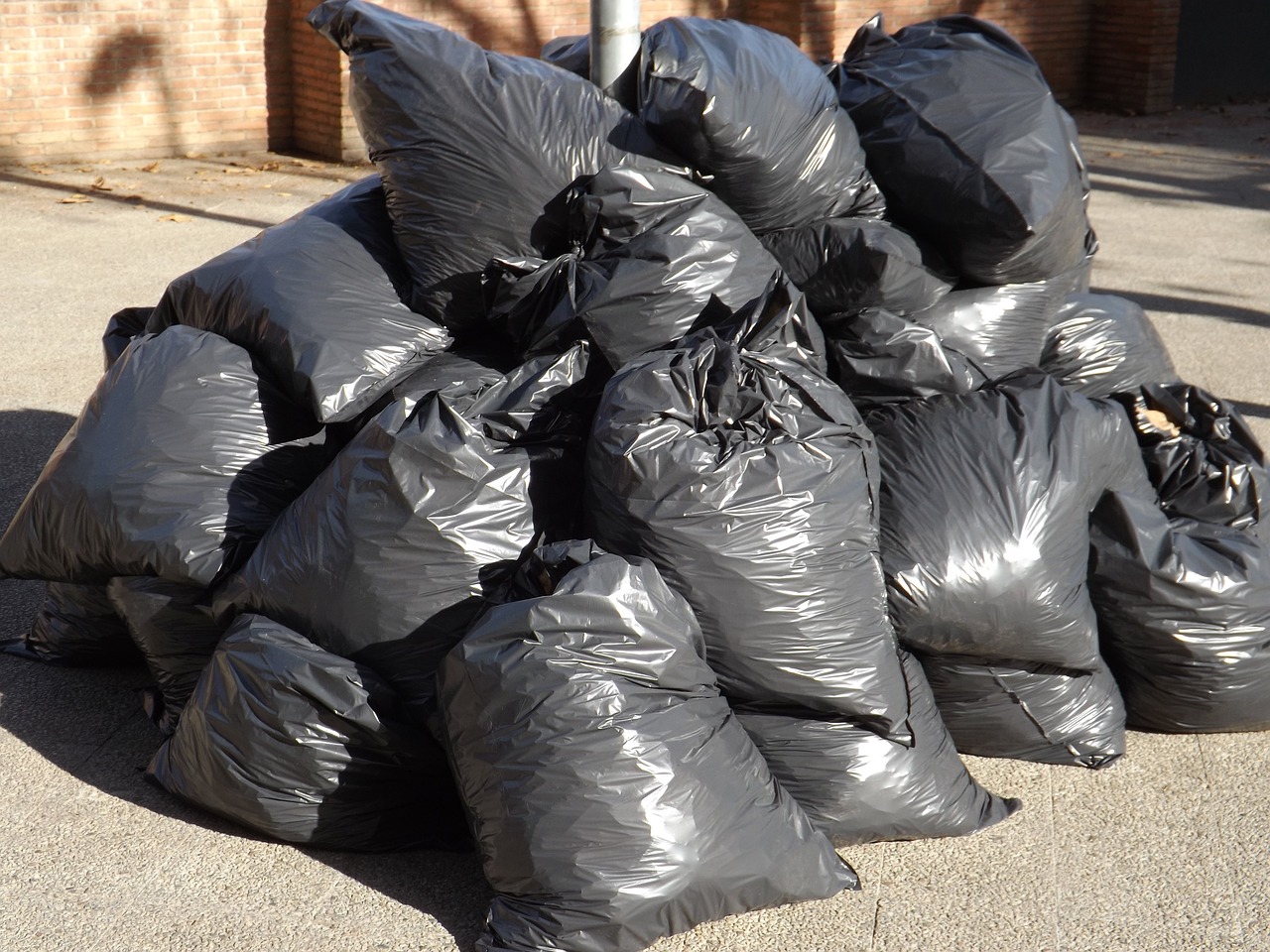 Plastic Pollution - Problem and Solutions